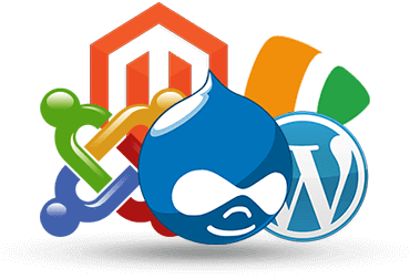 CMS Development Services Patna